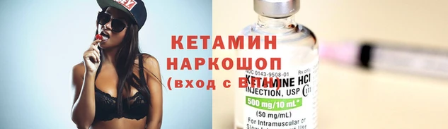 шишки Каменка