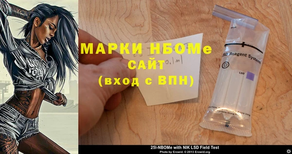 шишки Каменка