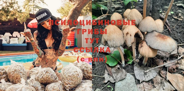 ПСИЛОЦИБИНОВЫЕ ГРИБЫ Каменногорск