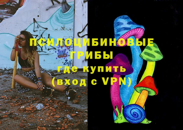шишки Каменка