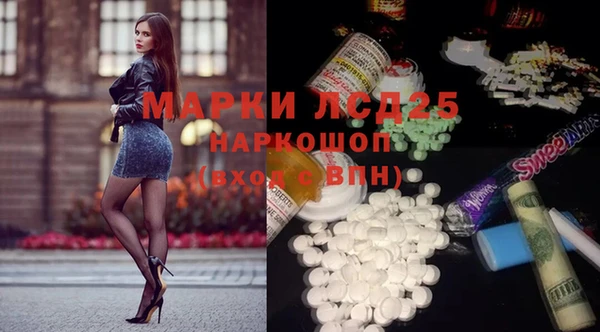 ПСИЛОЦИБИНОВЫЕ ГРИБЫ Каменногорск