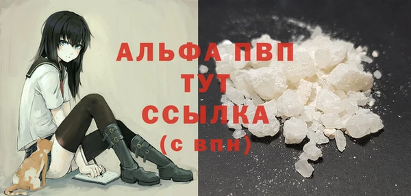 шишки Каменка