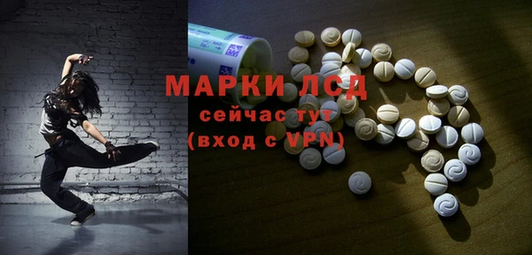 шишки Каменка