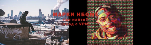 ПСИЛОЦИБИНОВЫЕ ГРИБЫ Каменногорск