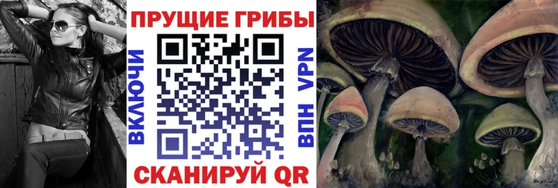 Купить закладки Слюдянка Псилоцибиновые грибы мухоморы